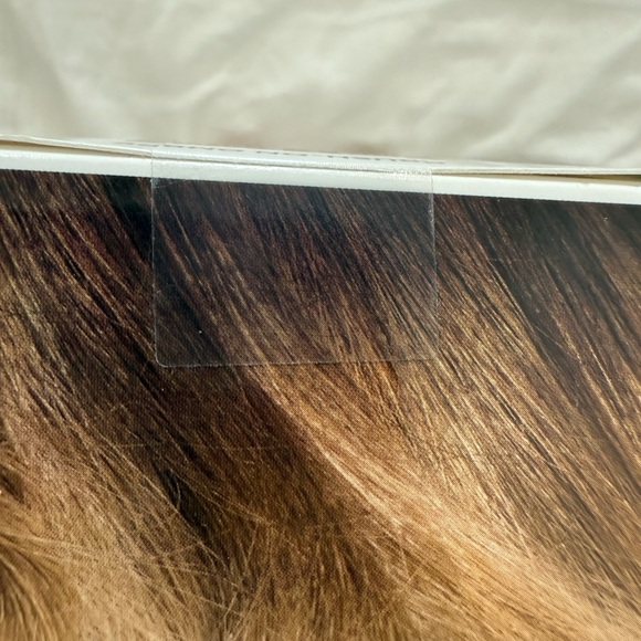 L'Oreal Colorista Bleach for Ombre Hair - Picture 8 of 8